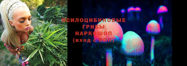 СК Арсеньев