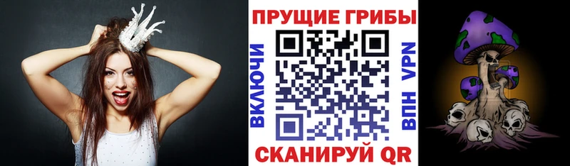 Псилоцибиновые грибы Magic Shrooms  Могоча 
