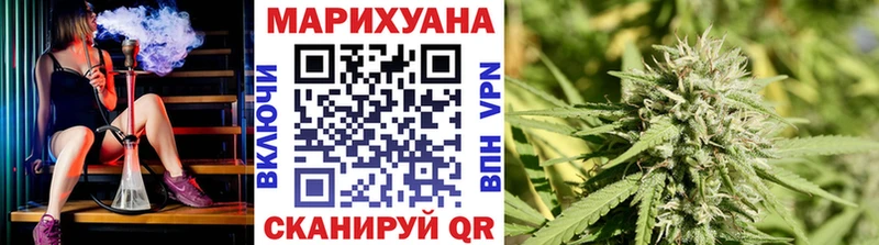 магазин    Могоча  Бошки Шишки OG Kush 